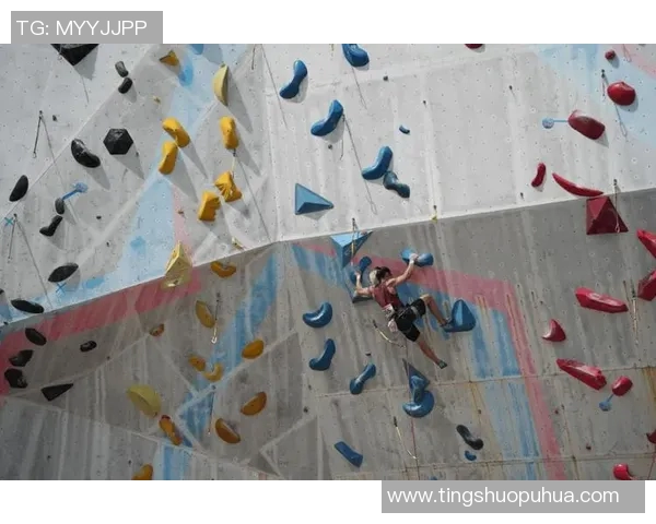 北京攀岩队的反击之路:挑战与成长的双重考验 北京攀岩队的反击之路:挑战与成长的双重考验