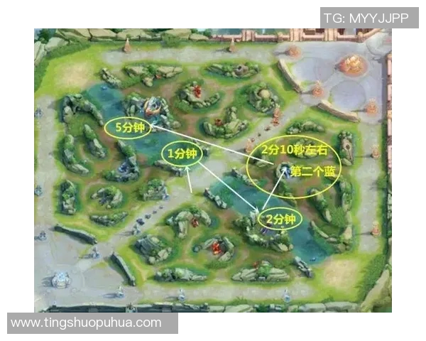 王者荣耀V5战队的快速崛起与战术创新深度解析