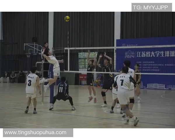 南京排球队的速度之谜：探索排球运动的魅力与激情