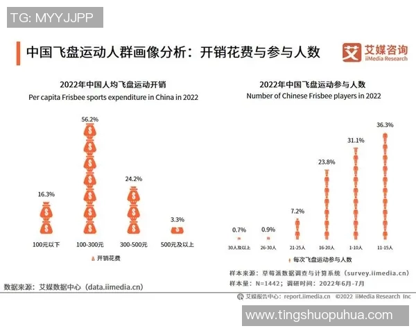 飞盘运动热潮下的杭州飞盘队意识探讨与发展前景分析