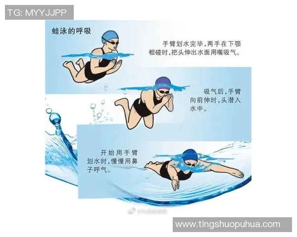 提高游泳技巧的关键训练方法与科学分析,全面解析各项泳姿的技术要点