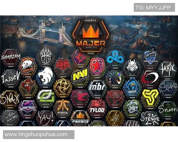 WE战队在CSGO中的实力分析与未来发展展望