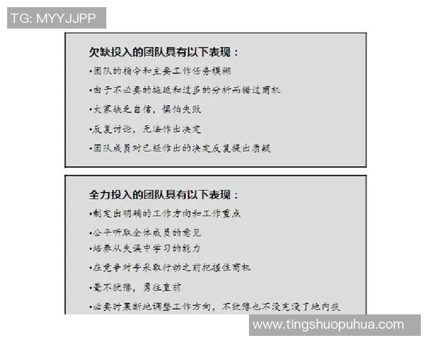 成都飞盘队配合表现数据分析揭示团队协作与战术执行的关键因素